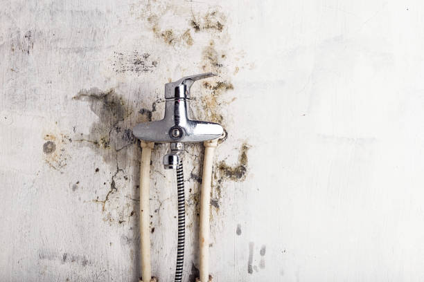 Best Mold Testing  in Kingsford, MI