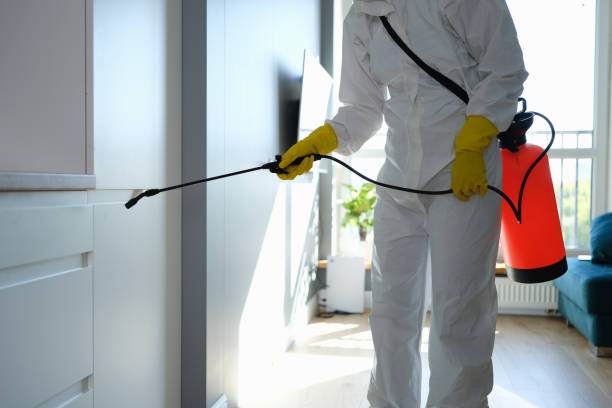 Best Attic Mold Removal  in Kingsford, MI